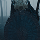 Image for article titled Can You Spot the Predator in Prey's Newest Trailer?